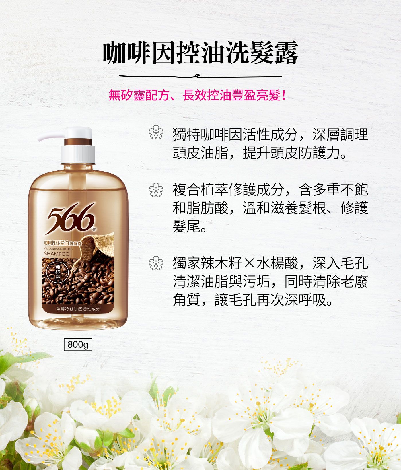 566無矽靈咖啡因控油洗髮露